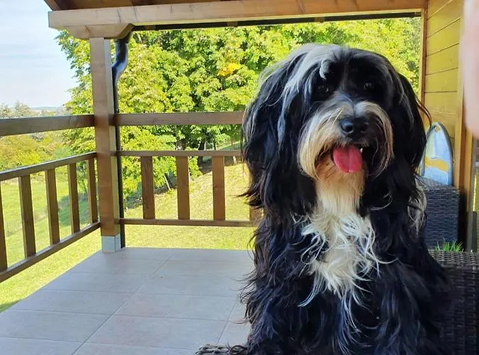 Lipa Houses&spa Hébergement de vacances *