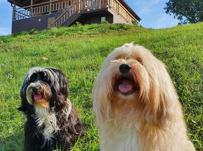 Lipa Houses&spa * Sopot